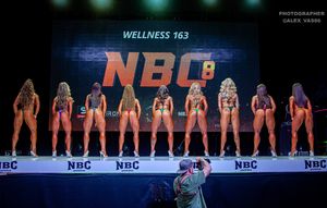 WELLNESS 163